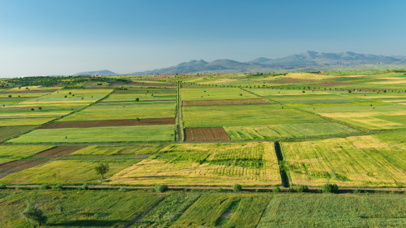 No meio rural, cooperativas são fundamentais para viabilizar a economia circular, segundo Aldo Vendramin.