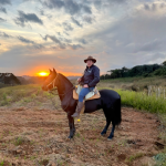 Munck ou guindaste? Entender as diferenças entre alcance, mobilidade e capacidade é essencial para escolher o equipamento ideal em cada operação, como destaca Altevir Seidel.