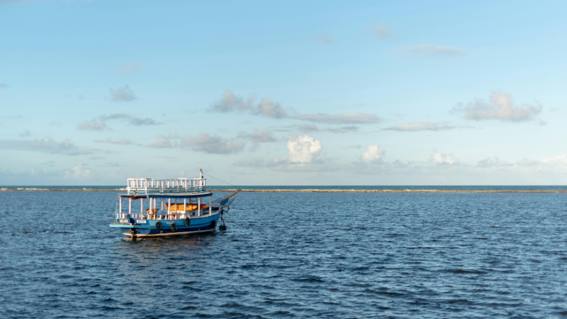 Óbidos e Mealhada revelados em seus sabores e caminhos por Leonardo Rocha de Almeida Abreu.