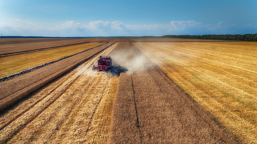 Alfredo Moreira Filho
